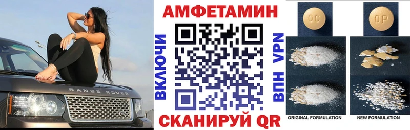 закладки  Новочебоксарск  АМФ Premium 