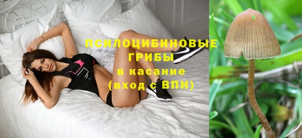 jwh Абаза