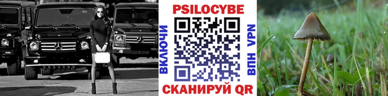 Галлюциногенные грибы ЛСД  купить наркотик  omg рабочий сайт  Новочебоксарск 